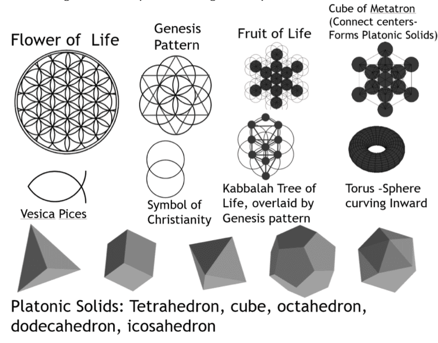 Fundamental Pattern and Consciousness - FMBR